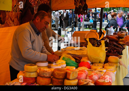 Ponte de Lima,Grand Villas,Ponte Romano,Scheda di fiume a piedi,detiene il più grande mercato in Portogallo,casa al vino rosso Verdi,,il mercato dell'Antiquariato Foto Stock