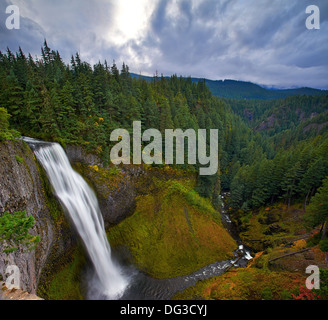 Salt Creek cascate , Oakridge, Oregon di Willamette National Forest. Si tratta di circa 286 piedi (87 metri) . Foto Stock