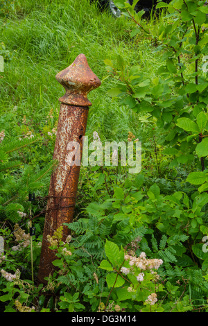 Un arrugginito vecchio stile recinzione metallica post pendente, estranei, ricoperta di vegetazione verde in New Brunswick, Canada. Foto Stock