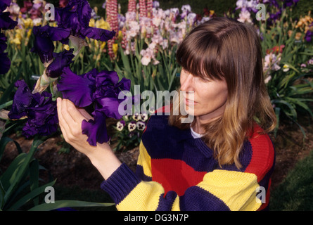 Display Iris giardino, Schreiner dell'iride giardini, Marion County, Oregon Foto Stock