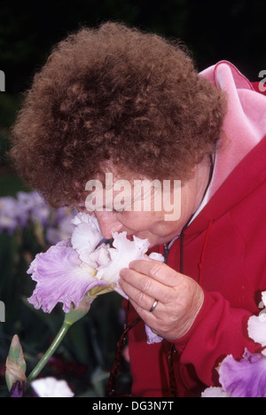 Display Iris giardino, Schreiner dell'iride giardini, Marion County, Oregon Foto Stock