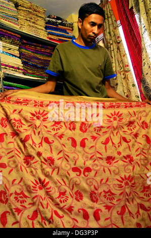 Saree, Kaantha Stitch, Handloom, artigianato, Tussar seta, seta saree, Saree Shop, Bengali, Indiana Foto Stock