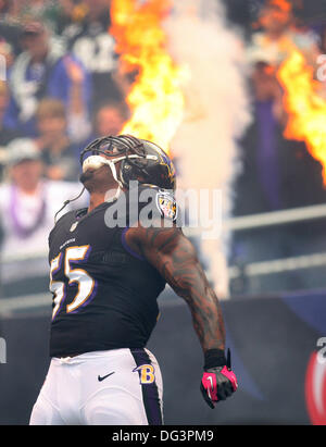 Baltimore, MD, Stati Uniti d'America. Xiii oct, 2013. Ottobre 13, 2013 - Baltimore, MD, Stati Uniti d'America - Baltimore Ravens OLB Terrell Suggs (55) è introdotta prima di iniziare il gioco. Green Bay Packers vs Baltimore Ravens presso M&T Bank Stadium di Baltimora, MD il 13 ottobre 2013. Foto: Mike Buscher/Cal Sport Media/Alamy Live News Foto Stock