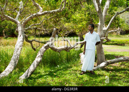 Uomo in bianco vestiti si erge nei pressi di alberi sul Lunuganga station wagon, Sri Lanka, Asia Foto Stock