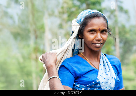 Ritratto di un tè Tamil plucker, Dickoya, Hill Country, Sri Lanka, Oceano Indiano, Asia Foto Stock
