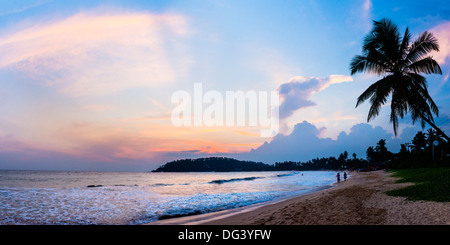 Mirissa Beach, Palm tree al tramonto sull'Oceano Indiano, costa sud, sud della provincia, Sri Lanka, Asia Foto Stock