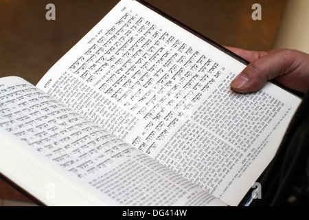 Lettura della Torah, Parigi, Francia, Europa Foto Stock