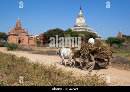 Bue in legno carrello passando Shwesandaw tempio, Bagan (pagano), centro del Myanmar, Myanmar (Birmania), Asia Foto Stock