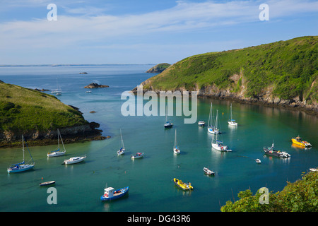 Solva Harbour, Pembrokeshire, Wales, Regno Unito, Europa Foto Stock