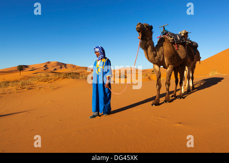 Il cammello marocchino driver, dune di Erg Chebbi, Merzouga, Meknes-Tafilalet, Marocco, Africa Settentrionale, Africa Foto Stock