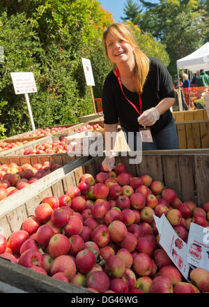 Mill collo, New York, Stati Uniti Xii Ottobre 2013. Volunteer KATHY scatole CHINSKY Jonagold varietà mele al calo annuo Harvest Festival, noto anche come Apple Fest, che attrae decine di migliaia di visitatori con il suo cibo e più per motivi di Mulino collo Manor, una storica Gold Coast Station wagon, durante il Columbus day weekend. Proventi beneficiare il mulino collo famiglia delle organizzazioni tra cui il mulino collo Manor la Scuola per non udenti. © Ann e Parry/Alamy Live News Foto Stock