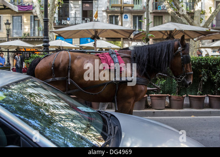 Carrozza a cavallo sulla Rambla Foto Stock