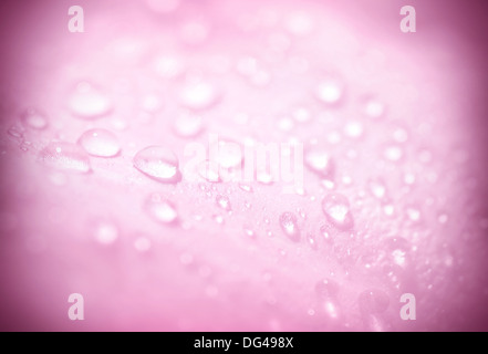 Abstract sfondo rosa, gocce di rugiada, romantico card, dolce petalo di fiore con gocce d'acqua, primavera la natura Foto Stock