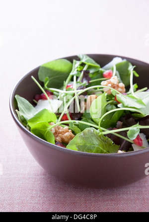 Deliziosa melagrana Insalata con formaggio di pecora e noci Foto Stock