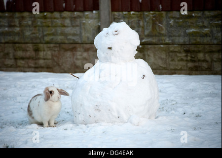 Lop eared bianco edificio di coniglio pupazzo di neve in inverno Foto Stock