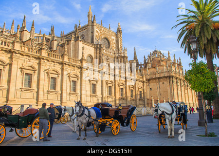 Carrozze trainate da cavalli con guide di fronte alla Cattedrale di Siviglia Foto Stock