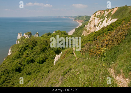 Scenario impressionante sulla South Devon Coast a scogliere Hooken Foto Stock