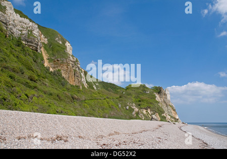 Scenario impressionante sulla South Devon Coast a scogliere Hooken Foto Stock