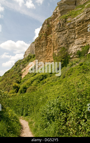 Scenario impressionante sulla South Devon Coast a scogliere Hooken Foto Stock