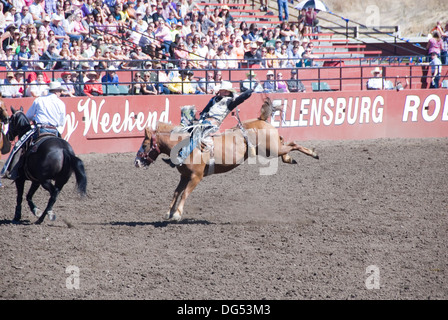 Bareback cowboy a cavallo su un strappi bronco cavallo prima di fronte alla folla il Ellensburg Rodeo, il weekend della Festa del Lavoro, WA, Stati Uniti d'America Foto Stock