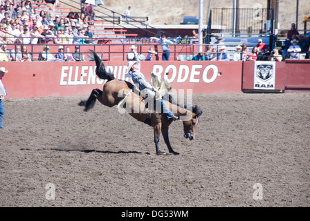 Bareback cowboy a cavallo su un strappi bronco cavallo prima di fronte alla folla il Ellensburg Rodeo, il weekend della Festa del Lavoro, WA, Stati Uniti d'America Foto Stock