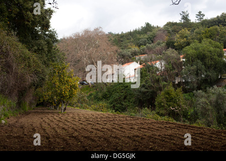 Un agriturismo in monchique in Algarve in Portogallo Foto Stock