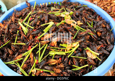 Insetti fritti in vendita, Cambogia Foto Stock