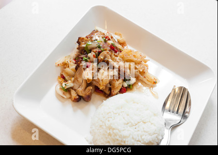 Spicy asian pollo con riso Foto Stock