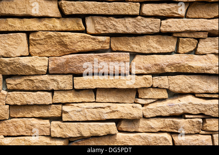 Texture in pietra con moss Foto Stock