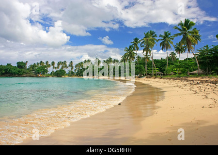 Rincon beach, penisola di Samana, Repubblica Dominicana Foto Stock