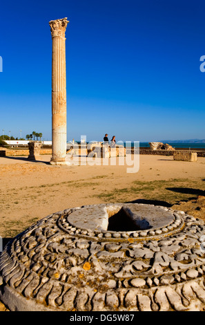 Tunez: Cartagine. The Antonine bagni termali (costruito su del II secolo D.C.). Foto Stock