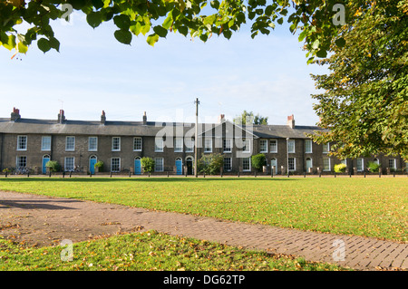 Foglie di autunno Piazza Nuova, Cambridge, Inghilterra Foto Stock