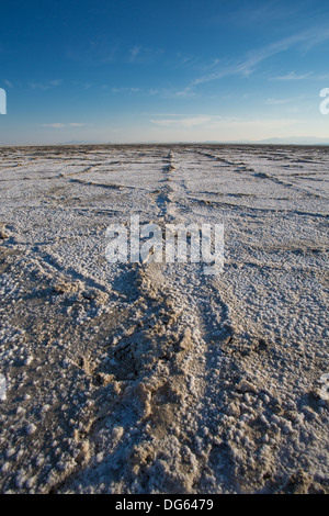 Famosa in tutto il mondo di sale di Bonneville appartamenti fuori Salt Lake City Utah con le montagne e il cielo blu. Dettaglio del sale sul terreno Foto Stock