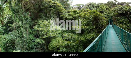 Vista panoramica da Santa Elena Cloud Forest da un ponte sospeso in Costa Rica Foto Stock