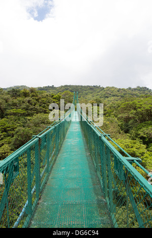 Vista panoramica da Santa Elena Cloud Forest da un ponte sospeso in Costa Rica Foto Stock