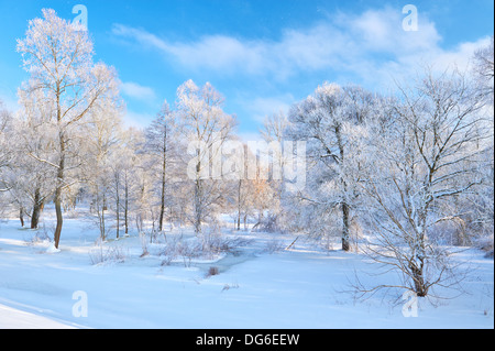 Paesaggio Innevato dal fiume Narew valley. Bellissima l'inverno. Foto Stock