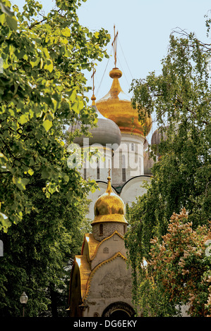 Il Convento Novodevichy - Vista sulla Cattedrale e cappella degli alberi Foto Stock