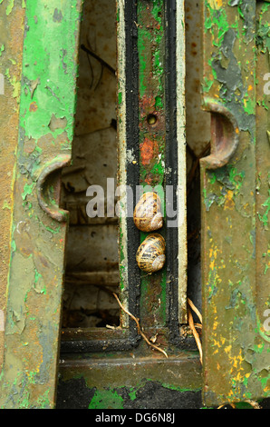 Vecchio arrugginito telefono in disuso exchange box con due chiocciole Foto Stock