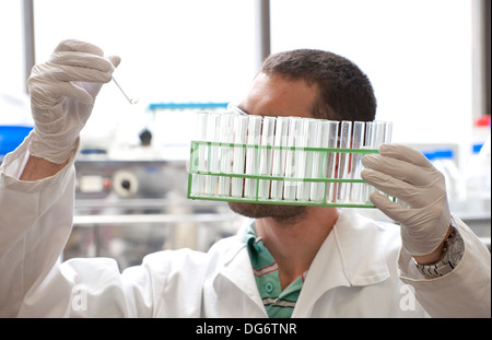 Tecnico di laboratorio il lavoro in laboratorio Foto Stock