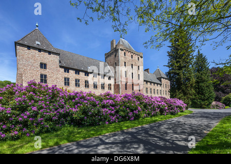 Comune / del Mar Nero (Rhododendron Rhododendron ponticum) fioritura nel giardino del castello Maschio, Sint-Kruis vicino a Bruges, Belgio Foto Stock