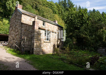 Il Dean Heritage Centre Foresta di Dean Gloucestershire England Regno Unito Foto Stock