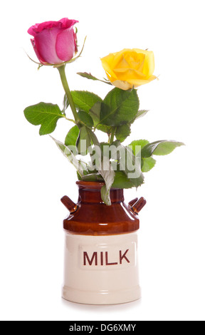 Due Rose in un annata bricco per latte studio ritaglio Foto Stock
