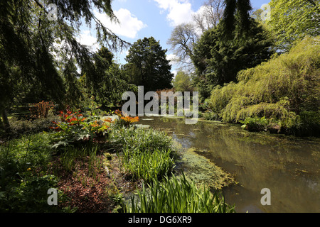 Pond nei Giardini presso il castello di tamburo in Royal Deeside vicino a Banchory, Aberdeenshire, Scotland, Regno Unito Foto Stock