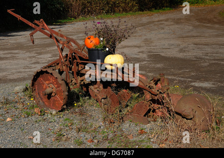 Le zucche su una vecchia fattoria aratro. Courtenay, Comox Valley, British Columbia, Canada Foto Stock