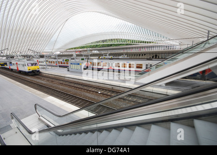 Liege-Guillemins ferroviaria progettata dall'architetto Santiago Calatrava a Liegi in Belgio Foto Stock