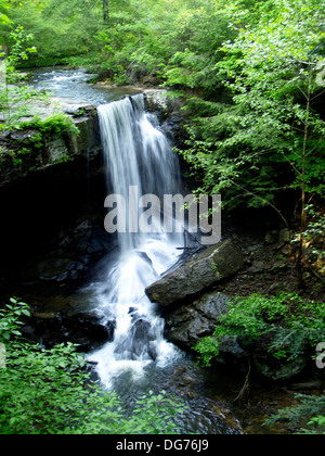 Laurel cade nel sud Cumberland Parco Nazionale,Tennessee Foto Stock