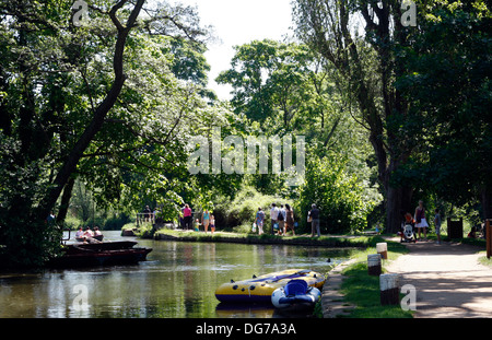 Il fiume Wey in Guildford Foto Stock