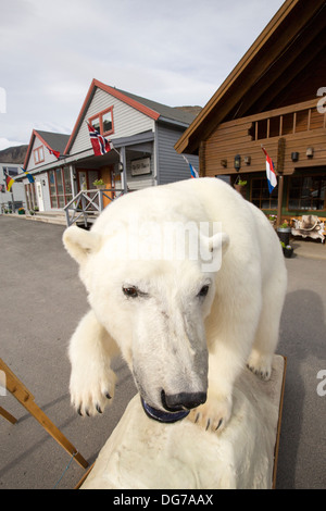 Un ripieno a base di Orso Polare al di fuori di un negozio a Longyearbyen su Spitsbergen, Svalbard Foto Stock