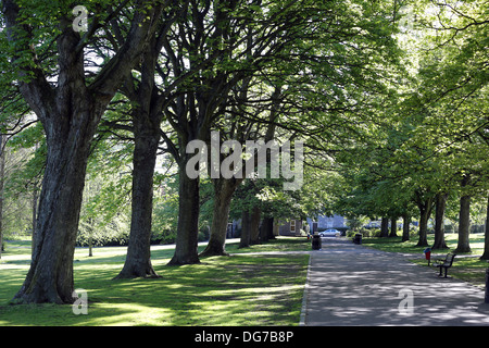 Victoria parco pubblico di Aberdeen, Scozia, Regno Unito Foto Stock