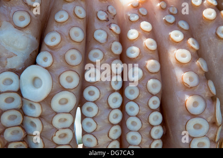 Origano sfregata tentacoli di polpo di essiccazione al sole al di fuori del mare pub in Grecia Foto Stock